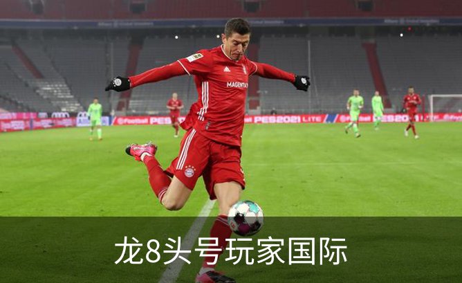 了解龙8头号玩家国际